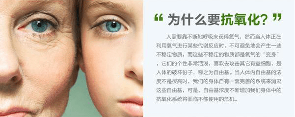 生態(tài)級(jí)負(fù)離子“抗氧化防衰老”的秘訣