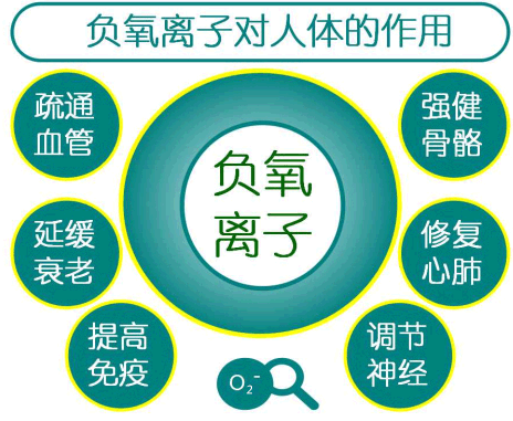 負(fù)氧離子