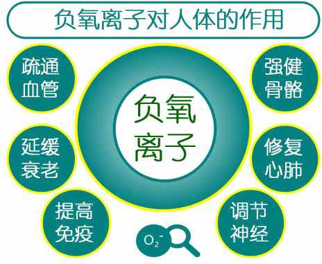 負(fù)氧離子