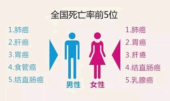 負(fù)氧離子