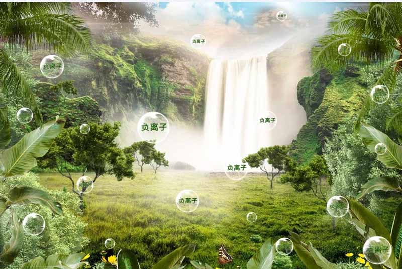 負(fù)氧離子