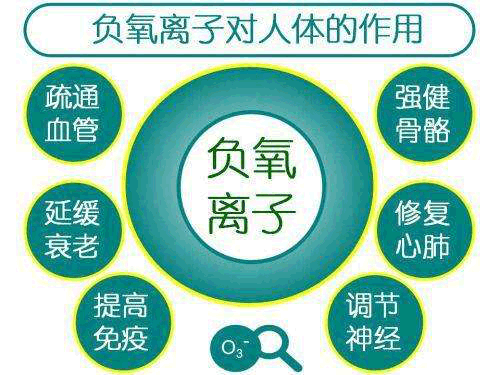 負(fù)氧離子