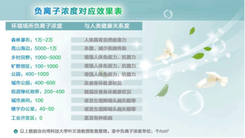 負(fù)氧離子