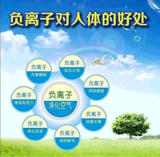 負(fù)離子
