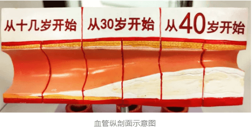 負(fù)氧離子