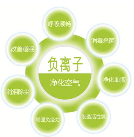 負(fù)氧離子