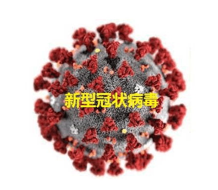 學(xué)校怎么樣在不干擾學(xué)習(xí)的情況下完成消毒工作?