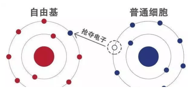 博士生導(dǎo)師陳景藻說，負(fù)氧離子能治療30多種疾病!
