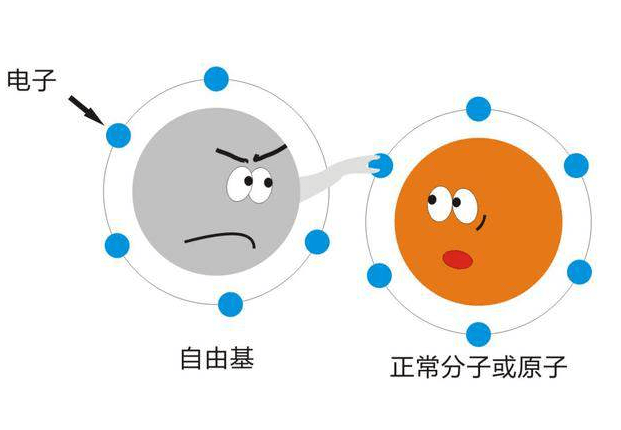 抗氧化是護(hù)膚界熱門(mén)話題，怎樣才能做到呢?