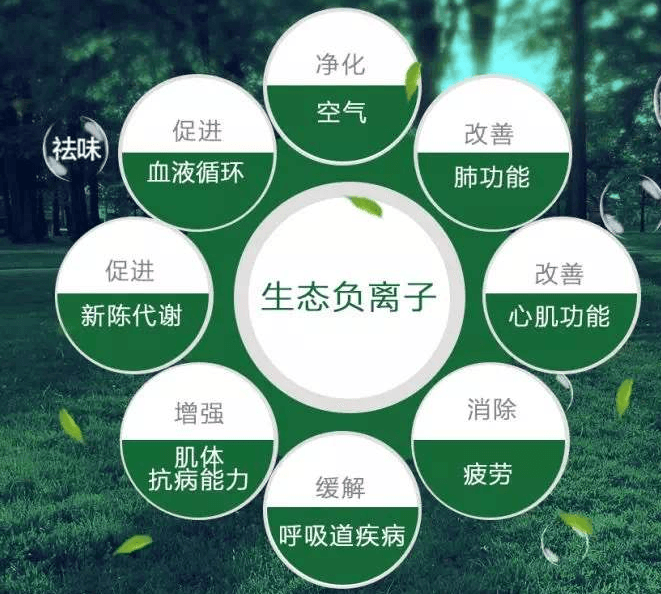 生態(tài)負離子