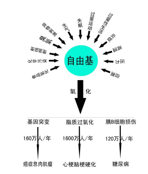 負(fù)氧離子