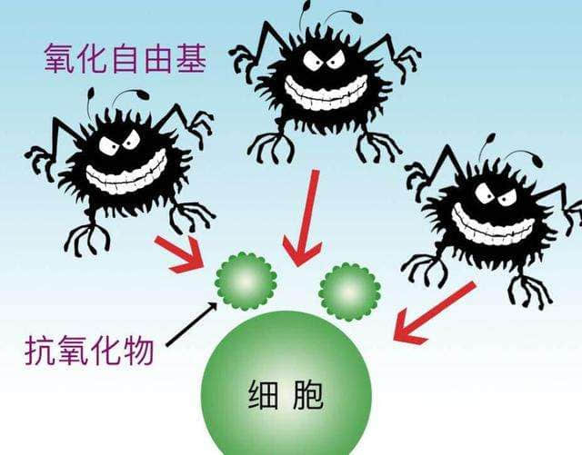 負氧離子