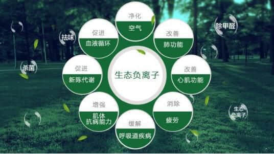 負(fù)氧離子
