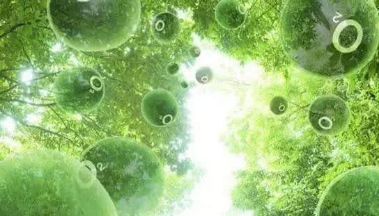 負(fù)氧離子