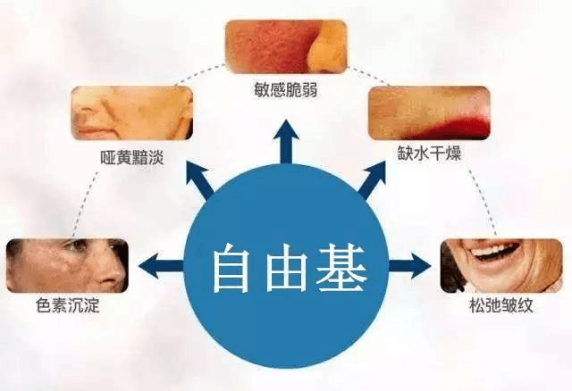 衰老的元兇是“自由基”，自由基的清除劑是“負(fù)氧離子”