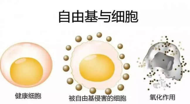 張文宏：生病時再治療為時已晚，一臺負離子機可助力基礎疾病的預防