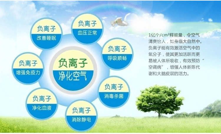 負(fù)離子